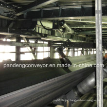 Chemical Resistant Conveyor Belt 3100s/PVC Conveyor Belting